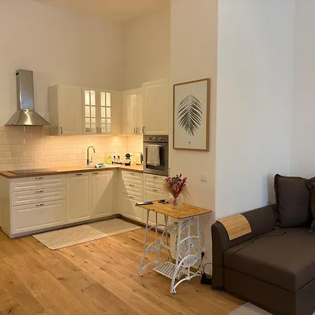 Apartment Mitten In Der Altstadt Und Der Thermenregion, Neu Und Ruhig Hartberg
