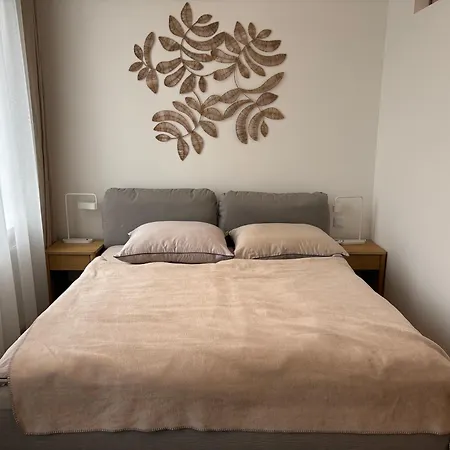 Apartment Mitten In Der Altstadt Und Der Thermenregion, Neu Und Ruhig *